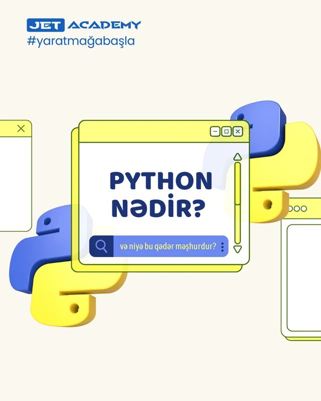 What is Python and Why Is It So Popular?